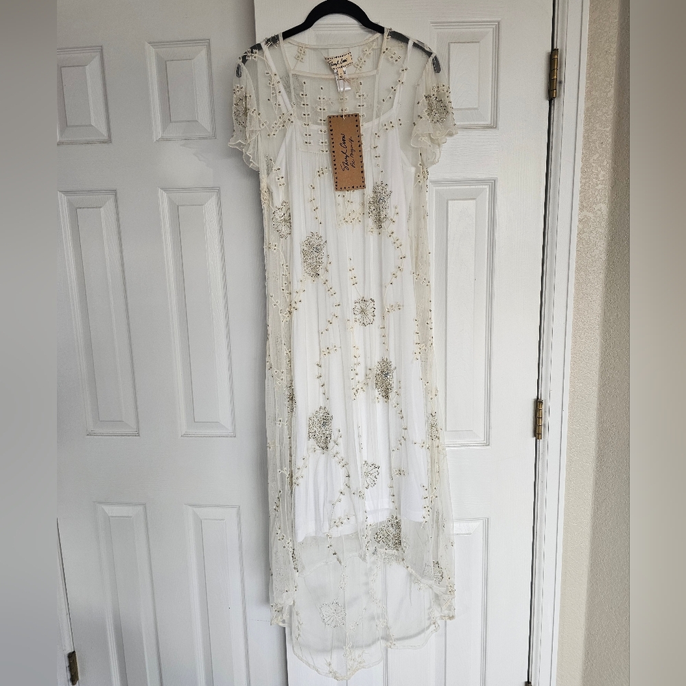 Sheryl Crow Beaded Dress